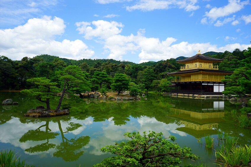 From Osaka/Kyoto: Kyoto and Nara 1-Day Bus Tour