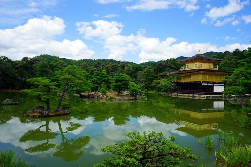 From Osaka/Kyoto: Kyoto and Nara 1-Day Bus Tour
