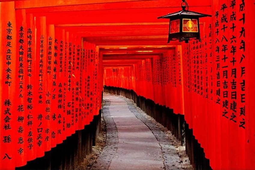 Path lined with torii gateways in Japan