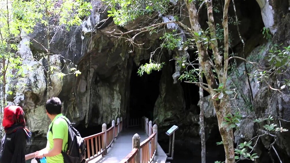 Show item 4 of 4. Cave of bats in Langkawi