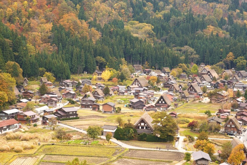 Show item 4 of 7. Takayama and Shirakawago 1 Day Bus Tour from Nagoya