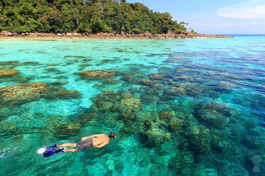 Snorkel Tour to Surin Islands by Siam Adventure World from Khao Lak