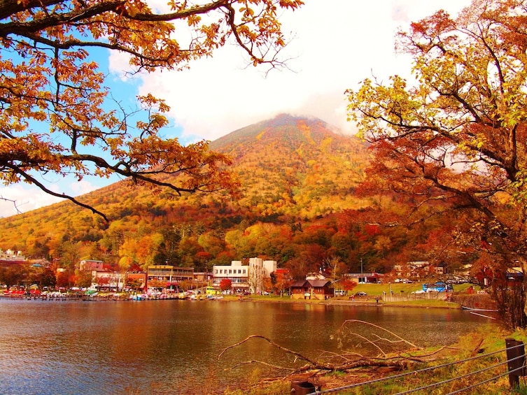 From Tokyo: Nikko Scenic Spots and UNESCO Shrine Bus Tour