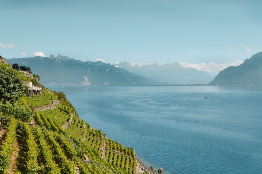 Charlie Chaplin, Montreux, Chillon, Lavaux Winter tour