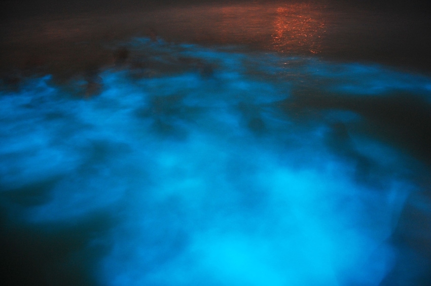 Glowing water at night in Jamaica