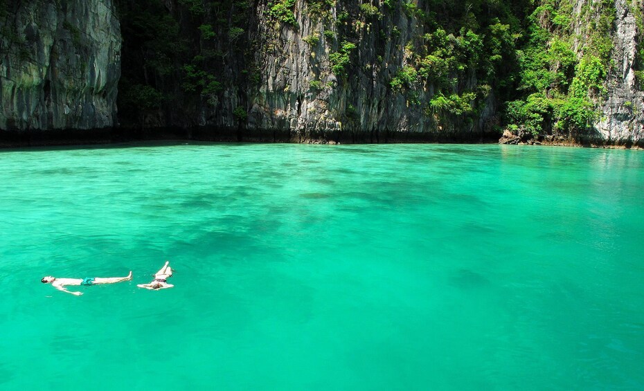 Phi Phi Island Tour by Ferry with transfers 