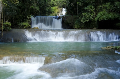 YS Falls plus Black River Safari Guided Tour with Admission & Lunch