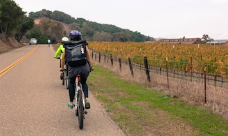 Wine Country by Bike