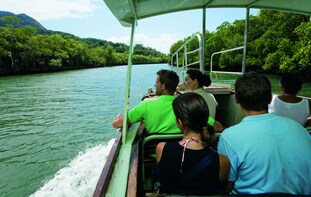 2 Day Great Barrier Reef & Rainforest Tour - Starter Pak