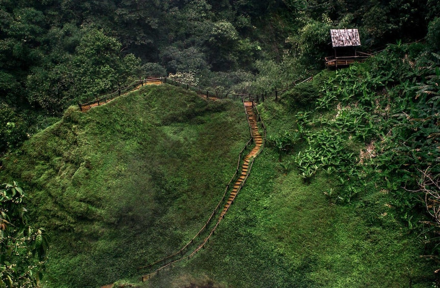Aerial view of pathway of stairs through the Bolaven Plateau in Laos