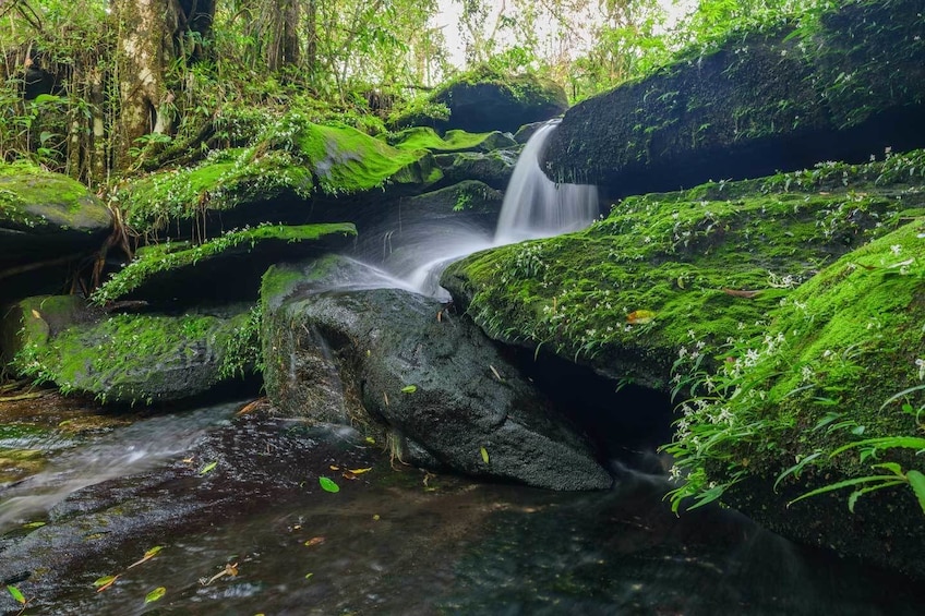 Small waterfall running into pond on Bolaven Plateau