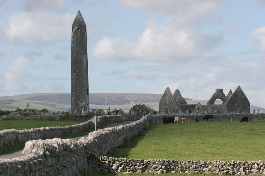 Cliffs Of Moher, Burren and Galway Tour From Dublin