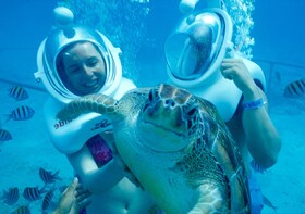 Xcaret Total Admission Tickets with Sea Trek® & Buffet Lunch