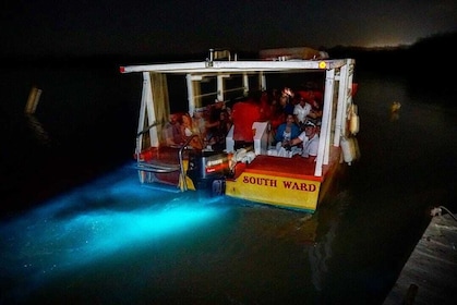 夜光潟湖（閃閃發光的水域）遊覽導覽（含門票）