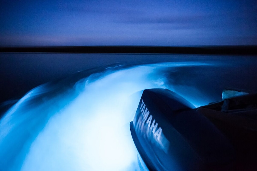 Must See - Luminous Lagoon (Glistening Waters)