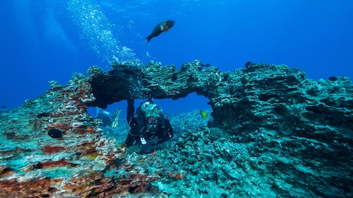 ดำน้ำลึก - ซากเรืออับปางและแนวปะการัง (นักดำน้ำที่ได้รับการรับรอง)