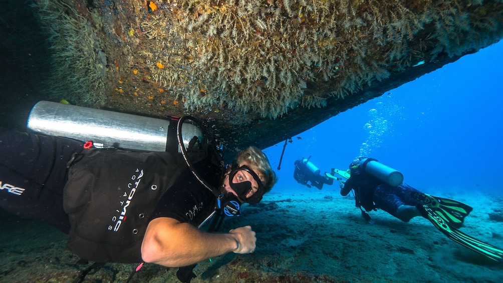 Scuba Dive - Wreck & Reef (CERTIFIED DIVERS)