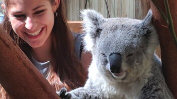 Wildlife, Waterfalls and Wine - Small Group Day Tour