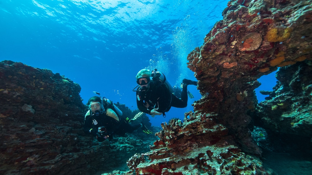 Snorkeling in Oahu 