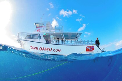 Discovery Scuba Dive – นักดำน้ำเบื้องต้น (ไม่มีประสบการณ์)