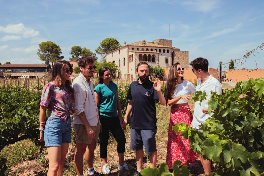 Montserrat & Ancient Winery: make your own custom tour!