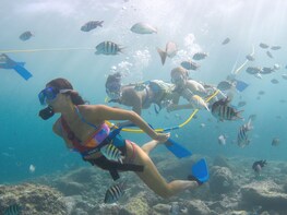 Xcaret Total Admission Tickets with Snuba