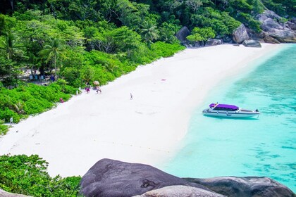 Wow Andaman snorkling dagstur till Similanöarna från Phuket