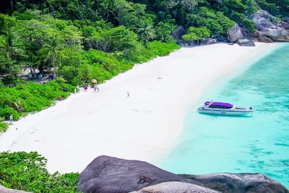 Excursion d'une journée dans l'Andaman avec plongée en apnée aux îles Simil...