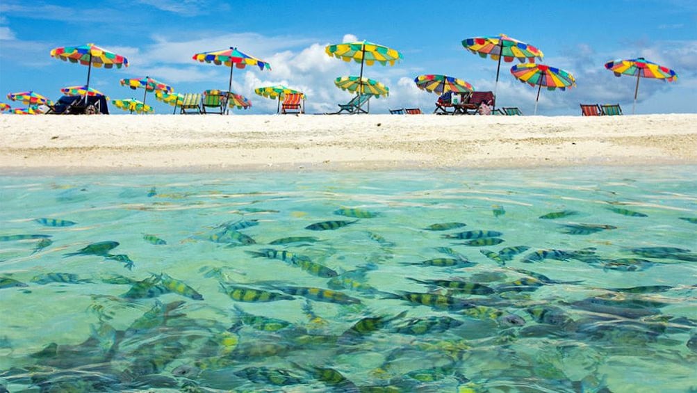 Chaise lounge on the beach and the water filled with fish on Khai Nui Island