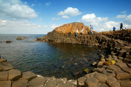 Tur til Giants Causeway, Dunluce Castle og Dark Hedges fra Belfast