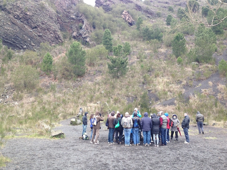 Mt Vesuvius Half Day Trip from Naples with Wine Tasting