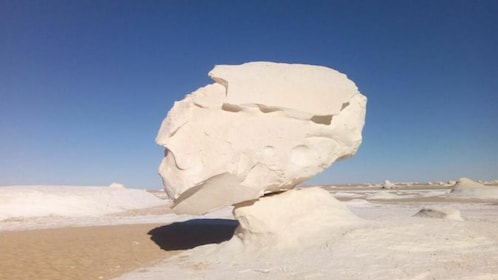 Excursion privée d'une journée dans le désert blanc et visite de l'oasis de...