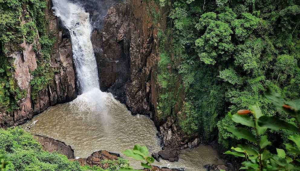 Show item 5 of 9. Khao Yai National Park & Thai Cooking Experience