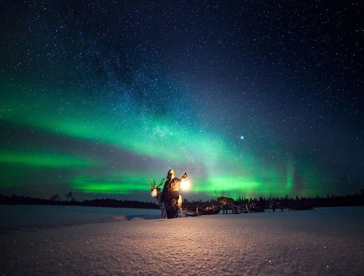 Sled at the Northern Lights in Rovaniemi