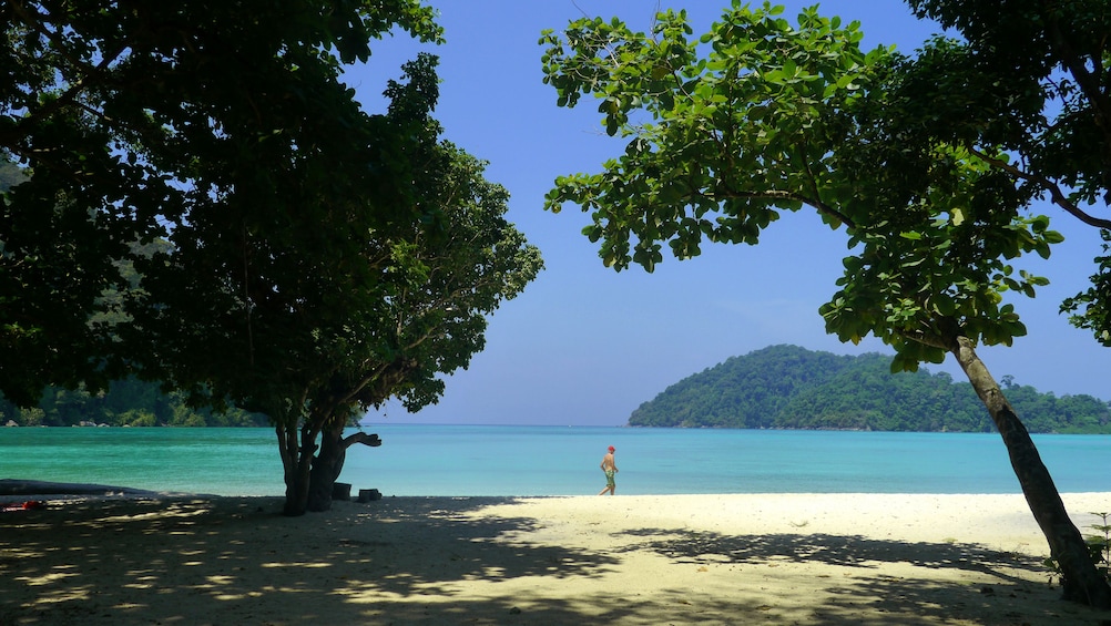 Surin Island Snorkeling by speedboat from Khao Lak