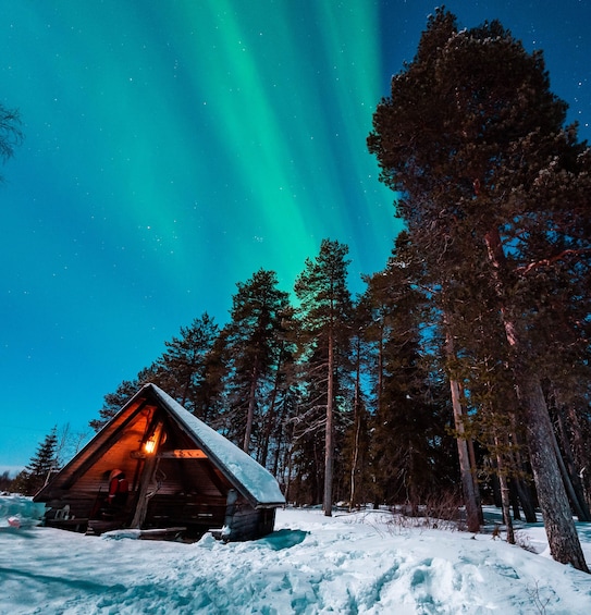 Rovaniemi: Northern Lights Photography Tour & BBQ 