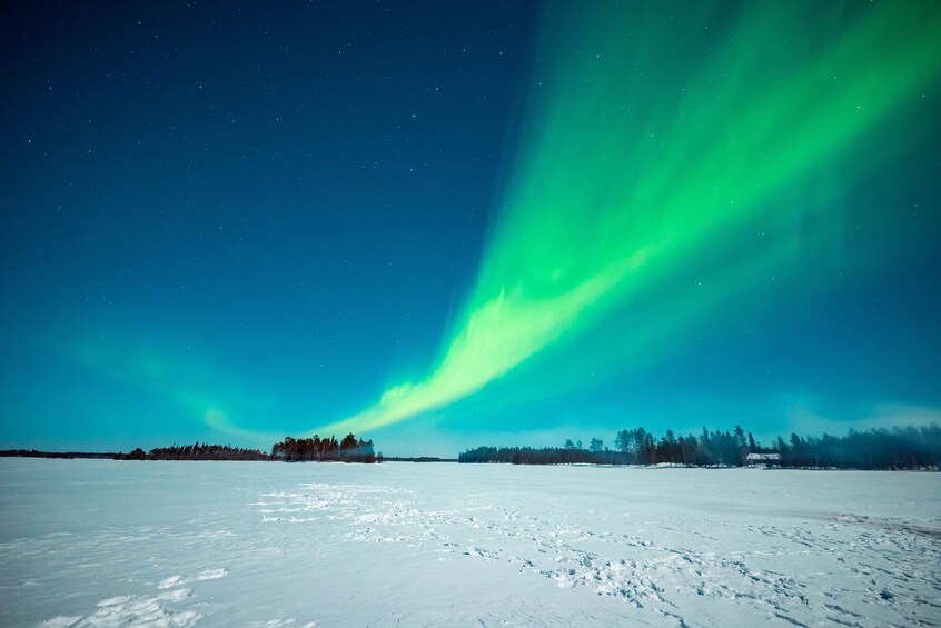 Rovaniemi: Northern Lights Photography Tour & BBQ