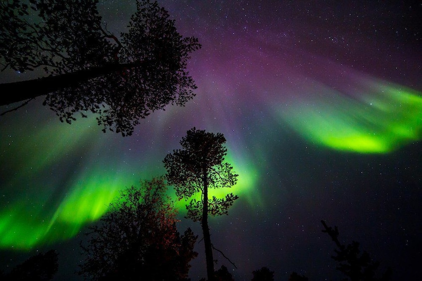 Vibrant evening views of the Northern Lights 