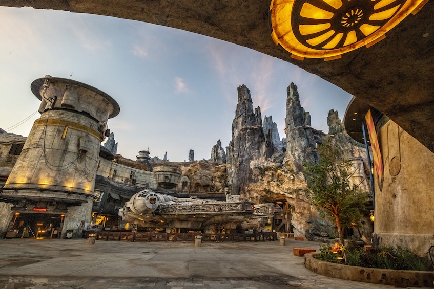 ウォルト ディズニー ワールド テーマ パーク チケット ウォルト ディズニー ワールド テーマ パーク チケット