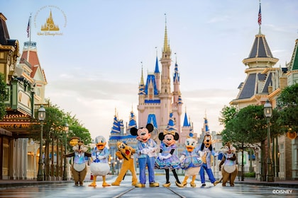 Biljetter till Walt Disney World® Resort-temaparker