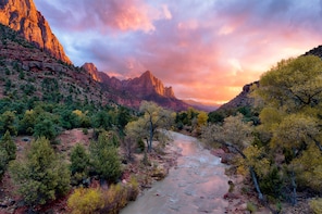 Zion National Park Day Tour