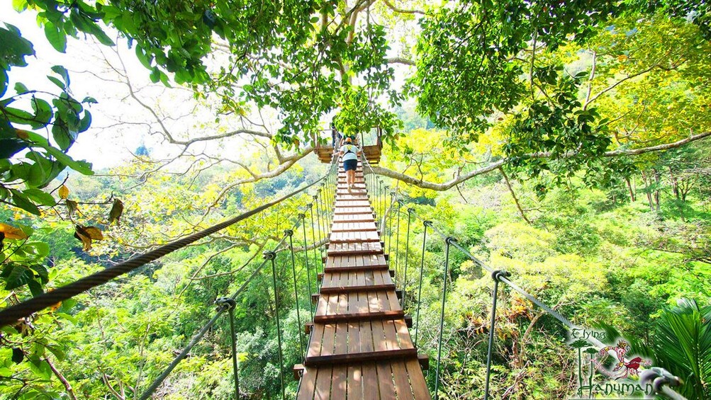 Rope bridge at the Hanuman Ziplining Experience