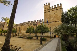Guided Tour Cordoba in Depth
