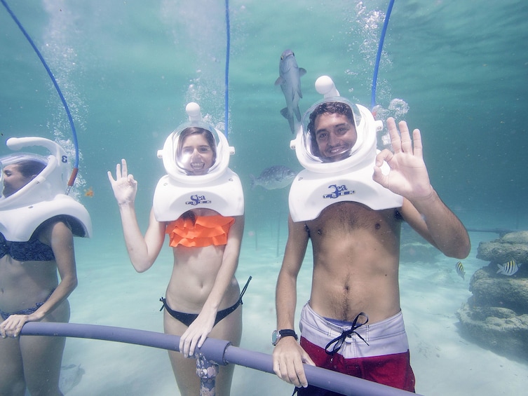 Group Sea Trek® experience in Tulum 