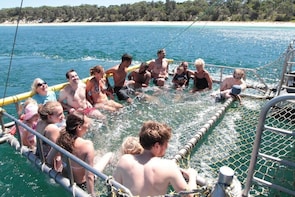 Summer Boom Netting