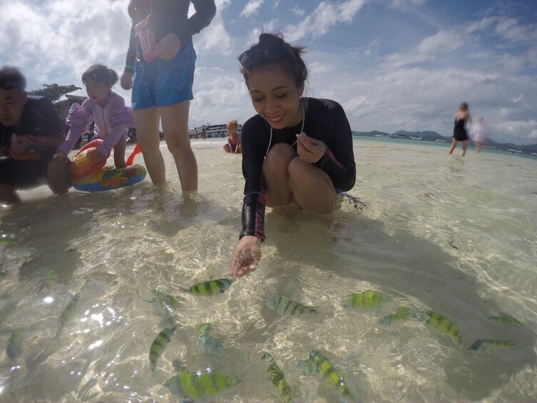 Woman admiring tropical fish on Phi Phi Island