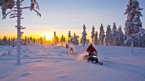Rovaniemi: Moottorikelkkasafari (jaettu kaksikkoajo)