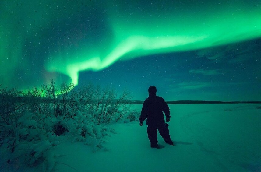 Rovaniemi: Ice Floating in Forest Lake with Aurora Borealis