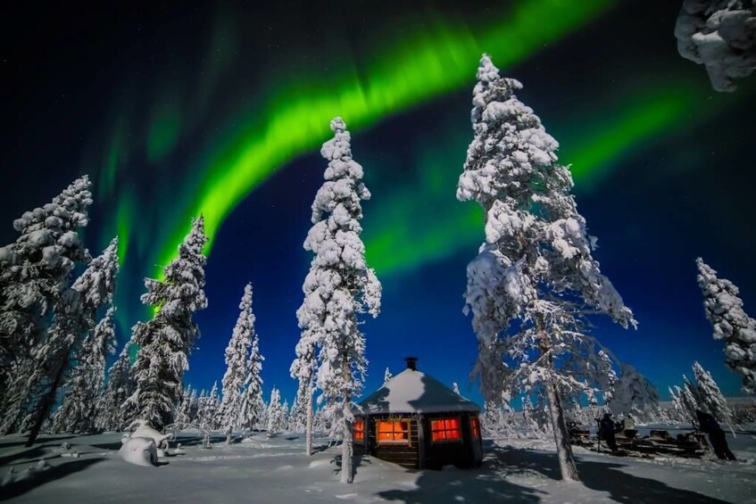 Rovaniemi: Ice Floating in Forest Lake with Aurora Borealis