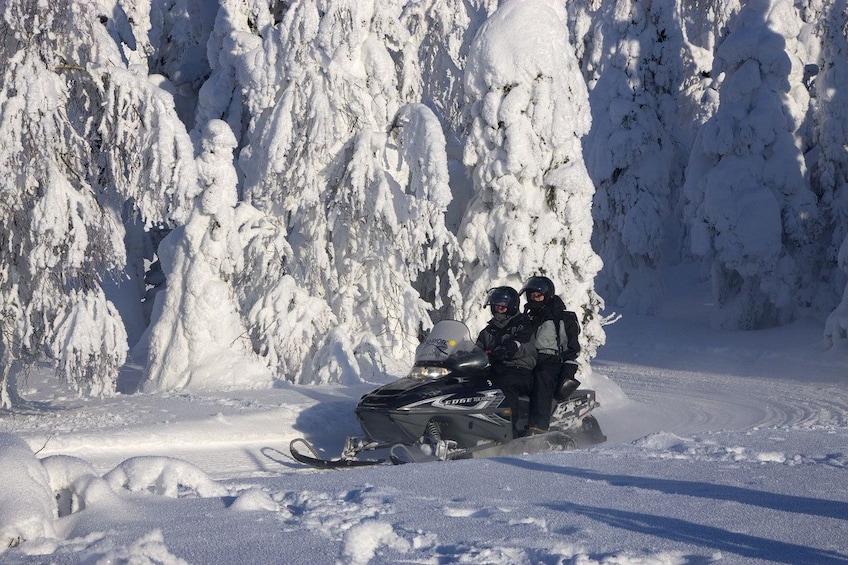 Guests writing a snowmobile in Rovaniemi